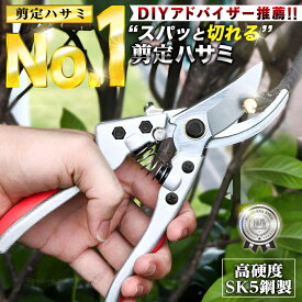 【楽天1位！★DIYアドバイザー推薦！！】 剪定ばさみ ハサミ 枝切りバサミ 剪定はさみ シルバー 握りやすい 剪定バサミ 剪定鋏 せんていばさみ 枝きりばさみ 庭木の剪定 銀 園芸 ハサミ ガーデニング 高級 プロ 園芸ばさみ はさみ 花用 花ばさみ さびない 薔薇