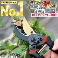 【DIYアドバイザー推薦！！★SK5鋼製！】 剪定ばさみ ハサミ 枝切りバサミ 剪定はさみ 錆びにくい フッ素…