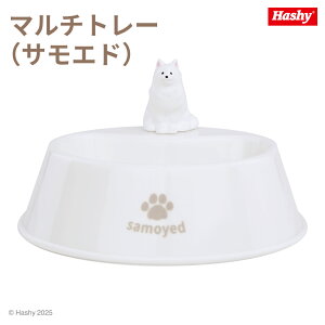 }`g[(TGh) ynV[gbvCz TGh }`g[ ObY    ANZT[ RC Ӓu X^h  IV LN^[