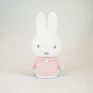 ~btB[ 傫΂ DX S(sN) ynV[gbvCz  fBbNEu[i miffy Miffy RCoN  Mtg v[g ւ l` tBMA