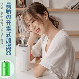 楽天市場 Usb アロマディフューザー 車の通販