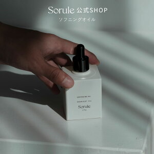 yzSorule \ y\tjOICz ^ Ƃ炩ȎɁATƂȂŃc߂etIC