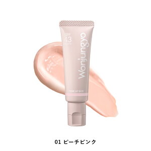 yz Wonjungyo yEHW g[Abvx[X Nz^uԃg[Abvx[XcɎdオi`^CvɂȂăj[AI