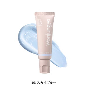 yz Wonjungyo yEHW g[Abvx[X Nz^uԃg[Abvx[XcɎdオi`^CvɂȂăj[AI