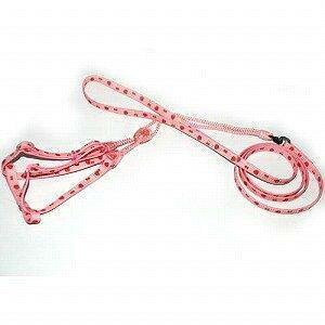 _ˍH[ Bowvidgbgn[lX[h t[csN 1y^OĂzyA[ցEsz