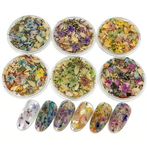 y{̉ԁzCHUNHE l̒땗 VRhCt[~bNXZbg ICyCeBOJ[ ԃlC WFlC W EnhChENtgf ԍ AN