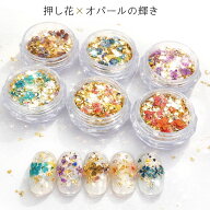 ネイル・レジン用 押し花 ドライフラワー 花びら 花材 小花 パーツ【押し花＋オパールホログラム ミック…