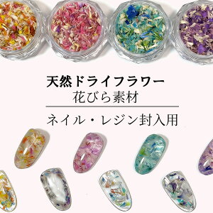 �l�C���E���W���p ������ �h���C�t�����[ �Ԃт� �ԍ� ���� �p�[�c�y�Ԃт�̃J�P ��0.1g �I�ׂ�4�� �zCHUNHE�V�R �{�� �����ԃl�C�� �t�����[�l�C�� �l�C���A�[�g�p�p�[�c���W������ UV���W�� 
