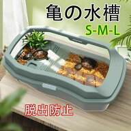 大きい亀水槽セット 60cm カメケージ プラスチック製 飼育ケース 大型ボックス 滑り止め付き 休憩プラッ…