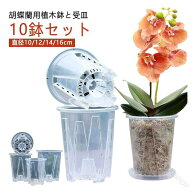 植木鉢 蝶蘭 蘭の鉢 受皿付き 穴付き プラスチック 胡蝶蘭鉢 洋蘭鉢 透明 屋外 屋内対応 10鉢セット 胡蝶…