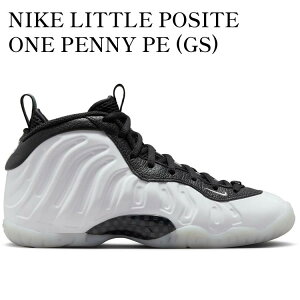 yCO 񂹏izNIKE LITTLE POSITE ONE PENNY PE (GS) DV2238-100 Y fB[X lC 