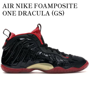 yCO 񂹏izAIR NIKE FOAMPOSITE ONE DRACULA (GS) 846077-003 Y fB[X lC 
