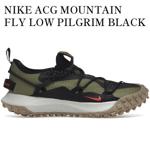 �y�C�O���� �����񂹏��i�zNIKE ACG MOUNTAIN FLY LOW PILGRIM BLACK DO9334-300 �����Y ���f�B�[�X �l�C �������