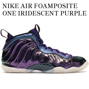 yCO 񂹏izNIKE AIR FOAMPOSITE ONE IRIDESCENT PURPLE (GS) 644791-602 Y fB[X lC 
