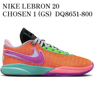yCO 񂹏izNIKE LEBRON 20 CHOSEN 1 (GS) DQ8651-800 Y fB[X lC 
