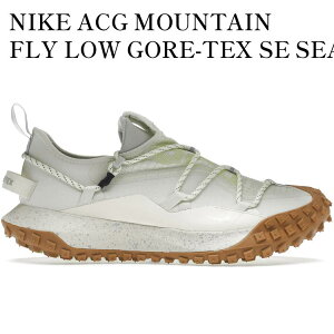 yCO 񂹏izNIKE ACG MOUNTAIN FLY LOW GORE-TEX SE SEA GLASS GUM DD2861-001 Y fB[X lC 