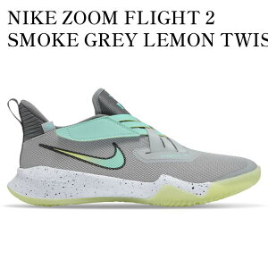 yCO 񂹏izNIKE ZOOM FLIGHT 2 SMOKE GREY LEMON TWIST (GS) DB6708-001 Y fB[X lC 