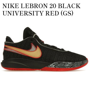 yCO 񂹏izNIKE LEBRON 20 BLACK UNIVERSITY RED (GS) DQ8651-001 Y fB[X lC 