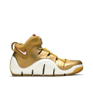 yCO 񂹏izNIKE LEBRON 4 ALL-STAR GAME 314647-711 Y fB[X lC 