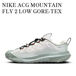 yCO 񂹏izNIKE ACG MOUNTAIN FLY 2 LOW GORE-TEX PHANTOM LIGHT SILVER HF6245-003 Y fB[X lC 