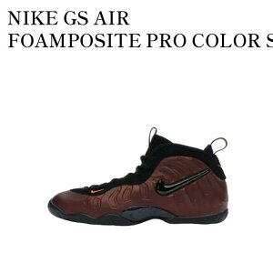 yCO 񂹏izNIKE AIR FOAMPOSITE PRO COLOR SHIFT (GS) 644792-800 Y fB[X lC 