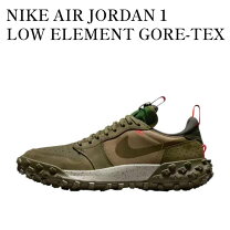 楽天市場】jordan elements NIKE（靴）の通販