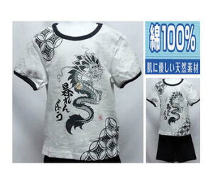 100ɂ₳VRf zEʋCɗDĂ܂̃jbgn@TVcn[EGA@qpW}110/120Z`pW} LbY@ ā@