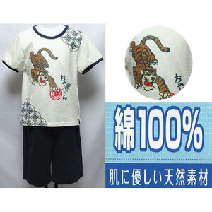 100ɂ₳VRfޔ̃jbgn@TVcn[EGA@qpW}110/120Z`pW} LbY 