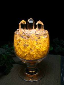 R  v y p[Xg[ VR v zACXOX@CG[@ZpRty NI[c v z򉻃v̓p[Ɩv