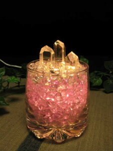 R  v y p[Xg[ VR v zbNOX@oCIbg@ZpRty NI[c v z򉻃v̓p[Ɩv