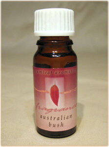 A}IC yz I[XgA AyK[tz@I[XgAubV