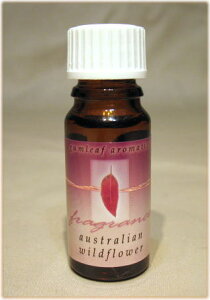 A}IC yz I[XgA AyK[tz@I[XgAECht[