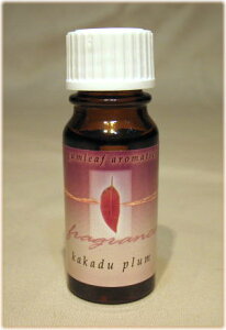 A}IC yz I[XgA AyK[tz@JJfv 2026