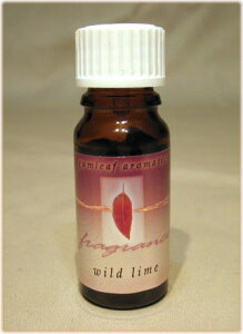 A}IC yz I[XgA AyK[tz Ch@C 2059