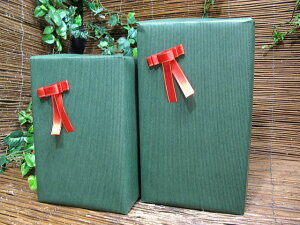 R蕨ƁA{@bsOiiʓrŵql̂݁j