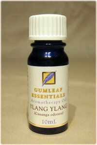 A}ICyz I[XgA AyK[tz CC@Ylang Ylang
