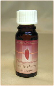 A}ICyz I[XgA AyK[tz zCg`F[