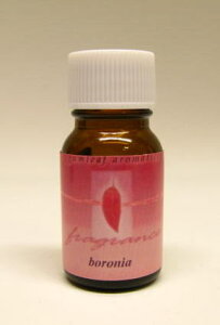 A}IC yz I[XgA AyK[tz@{jA