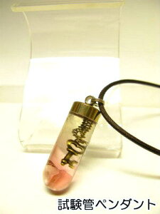  `[ lbNX yǃy_gz̔J yVFz1335sN