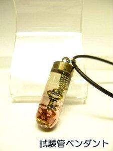  `[ lbNX yǃy_gz̔J yviz1335sN