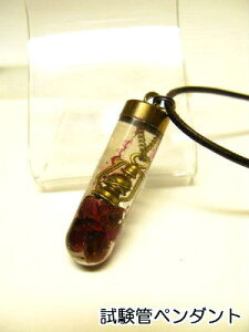  `[ lbNX yǃy_gzƂ炷^yK[lbgz1340NAyAz