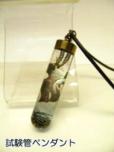  `[ lbNX yǃy_gzubNLVFyviz1355CgubN