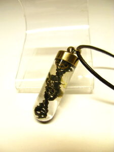 ǃ`[lbNXyǃy_gzDNAywTCGXzy_g402@ubN