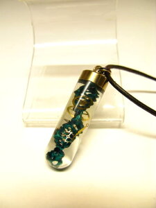 ǃ`[lbNXyǃy_gzDNAywTCGXzy_g404@O[