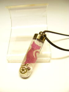 ǃ`[lbNXyǃy_gzyLzy_g504sN ou