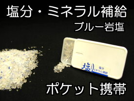 楽天市場 塩 持ち歩き ケースの通販