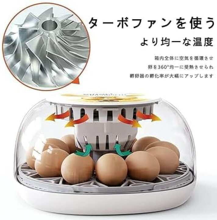 楽天市場】自動孵卵器 インキュベーター 孵化器 12卵 鳥類専用孵卵器 