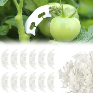 100Zbg A Ȃ Nbv |x Ax ʕ Ԍs ϗtA xI |֗Nbv ŒNbv Ȃ ANbv JԂgp\ŉ|Ƃɕ֗