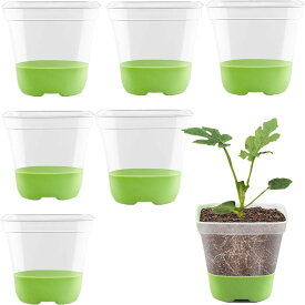 シードスタータートレイ6個 シリコンシードスターター ポップアウトセル付き 植物栽培トレイ シードスターター用 屋内播種栽培栽培 (6個 グリーン)
