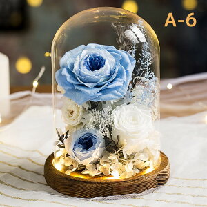 vU[h t[ ͂Ȃ  a  Mtg KN hCt[ t[ MtgKXh[ LEDCg ̂ aFB ̓ӂNւ̌hӋLOv[